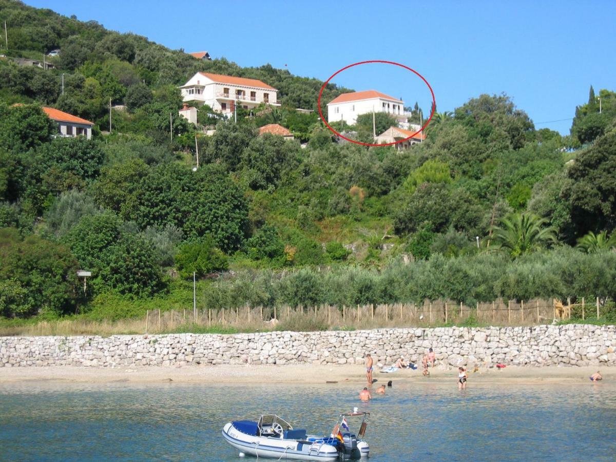 Diving Apartments Molunat Exterior foto